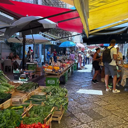 Daniel's Winter * Palermo